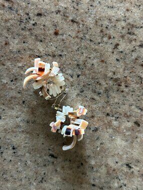 Hawaiian earrings